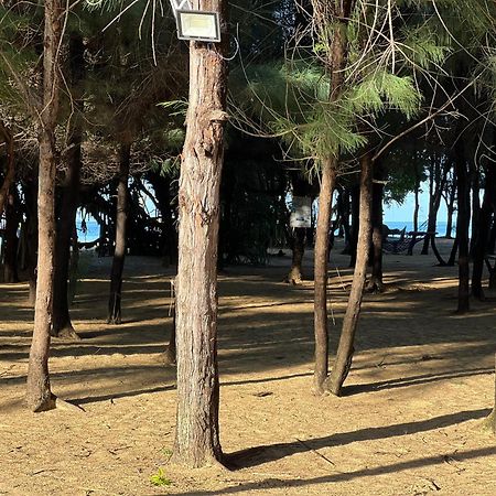 Omeesha Beach Hotel Калпития Екстериор снимка