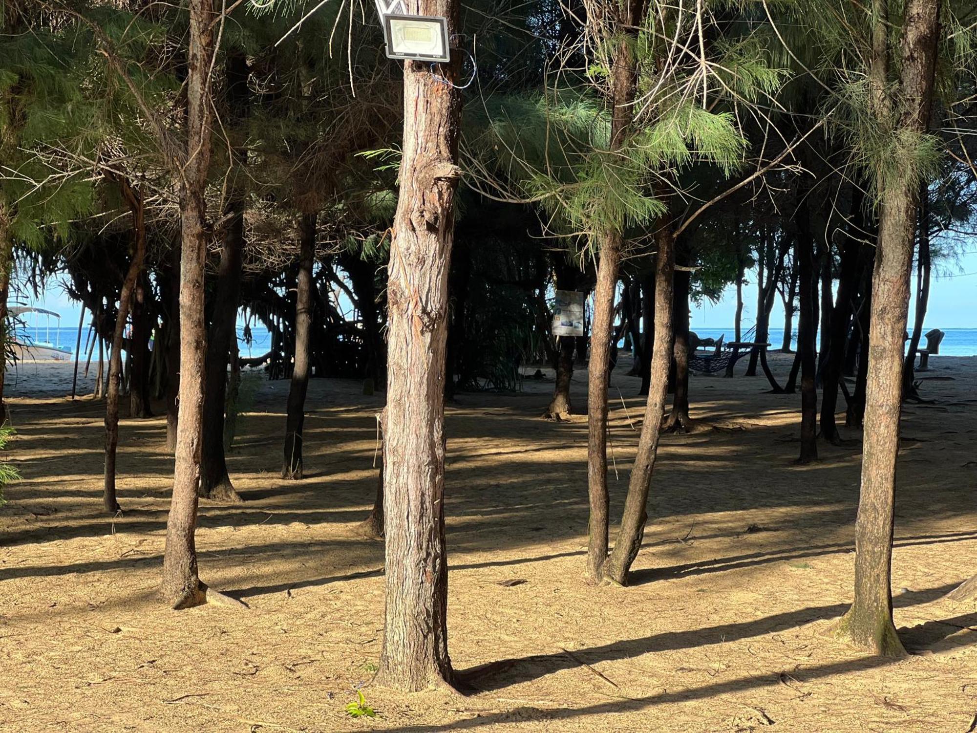 Omeesha Beach Hotel Калпития Екстериор снимка